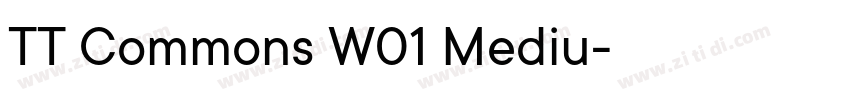 TT Commons W01 Mediu字体转换